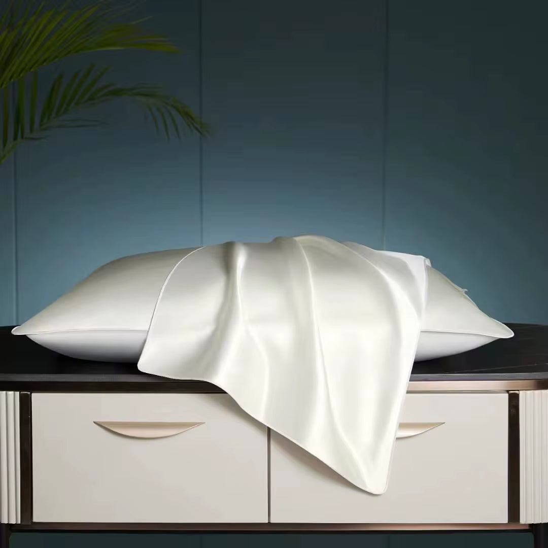 100% Mulberry Silk Pillowcase Pure,19 Momme Real Silk Pillowcases Silk Pillowcase Hypoallergenic Gift Box